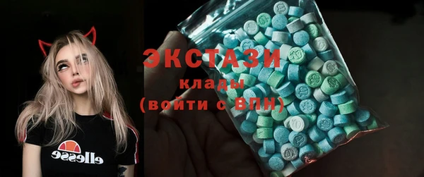 тгк Ельня