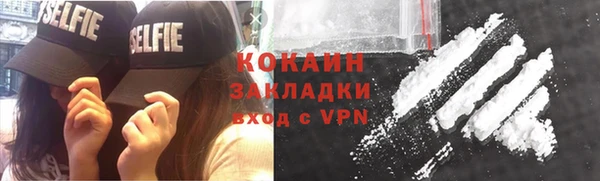 тгк Ельня