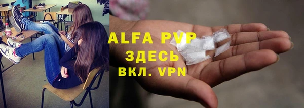 тгк Ельня