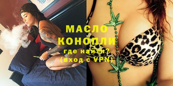 тгк Ельня