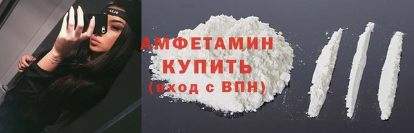 тгк Ельня