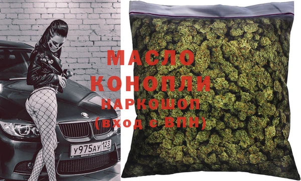 тгк Ельня