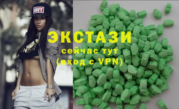 тгк Ельня