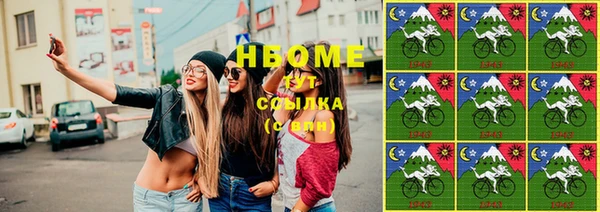 тгк Ельня