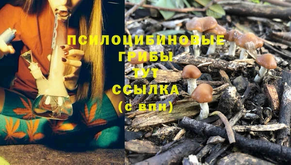 тгк Ельня