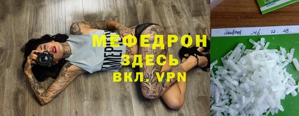 тгк Ельня