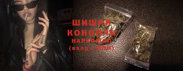 тгк Ельня