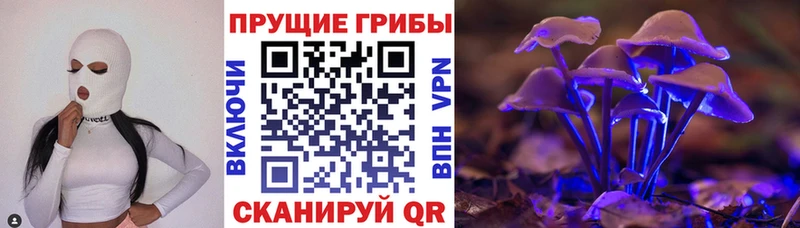 Псилоцибиновые грибы Psilocybine cubensis Камешково